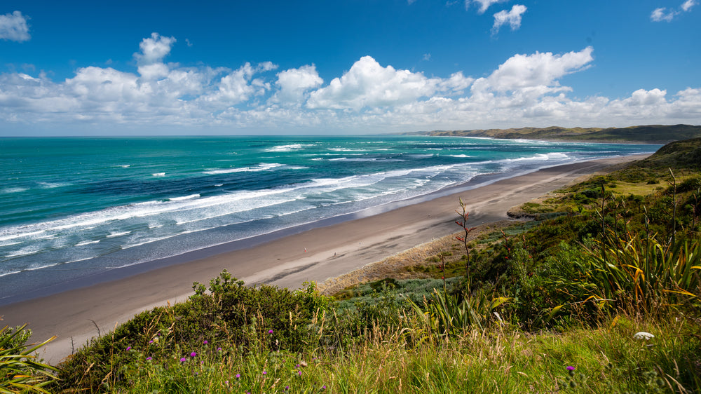 Auckland - Raglan – Hazy Campers